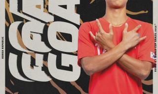 2002年荷兰世界杯阵容 2002年荷兰世界杯阵容